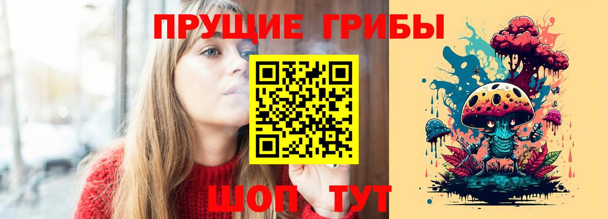 Галлюциногенные грибы Psilocybine cubensis Соль-Илецк